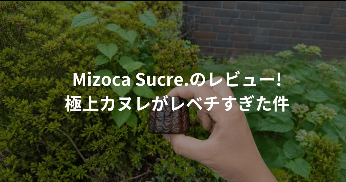 Mizoca Sucre.レビュー